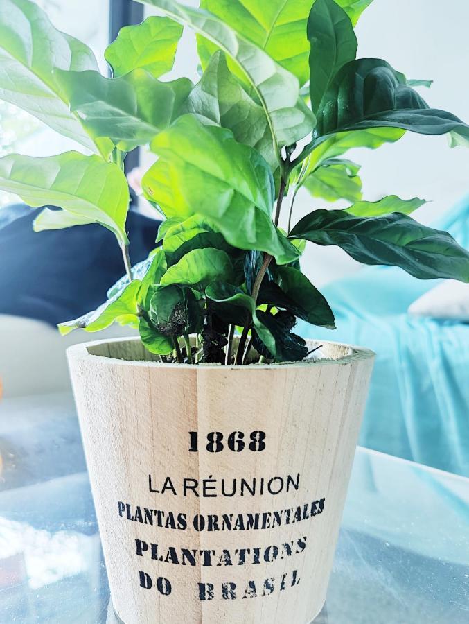 Garden Flat In คานส์ ภายนอก รูปภาพ