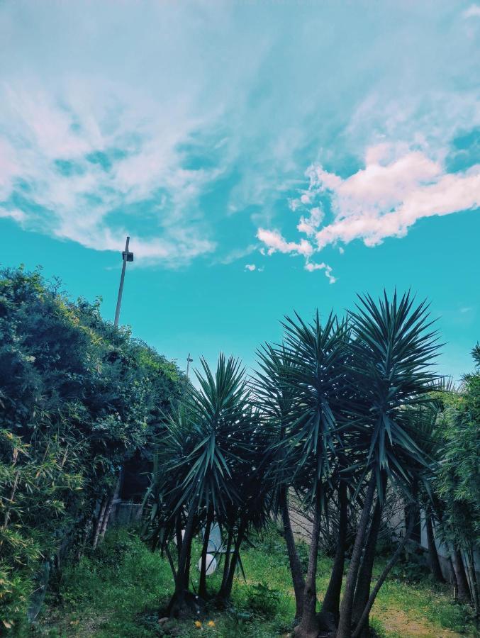 Garden Flat In คานส์ ภายนอก รูปภาพ